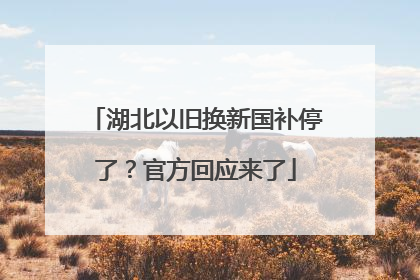 湖北以旧换新国补停了？官方回应来了